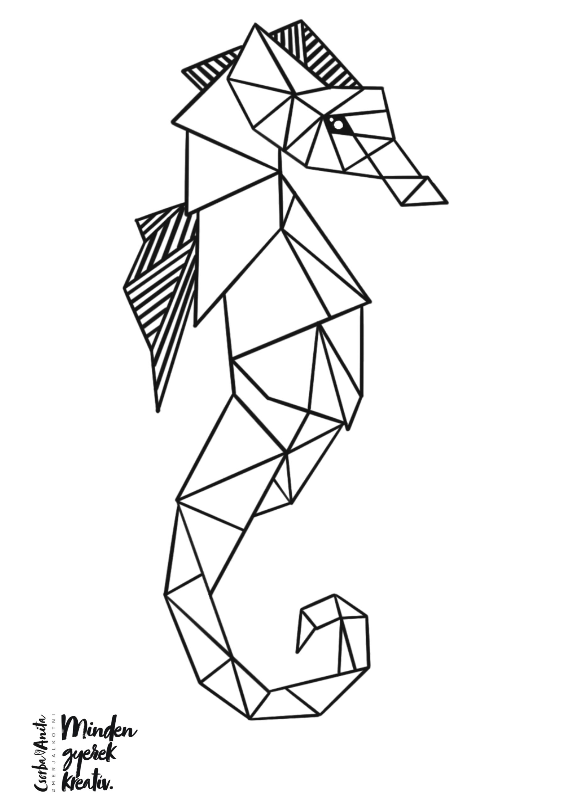 Untitled_Artwork 81 másolat Letölthető - Csikóhal színező - Image 1