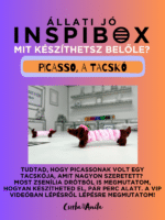 Inspibox 3.0 - szülinapi kiadás - Image 7